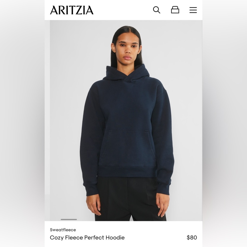 Aritzia Cozy Fleece Perfect Hoodie